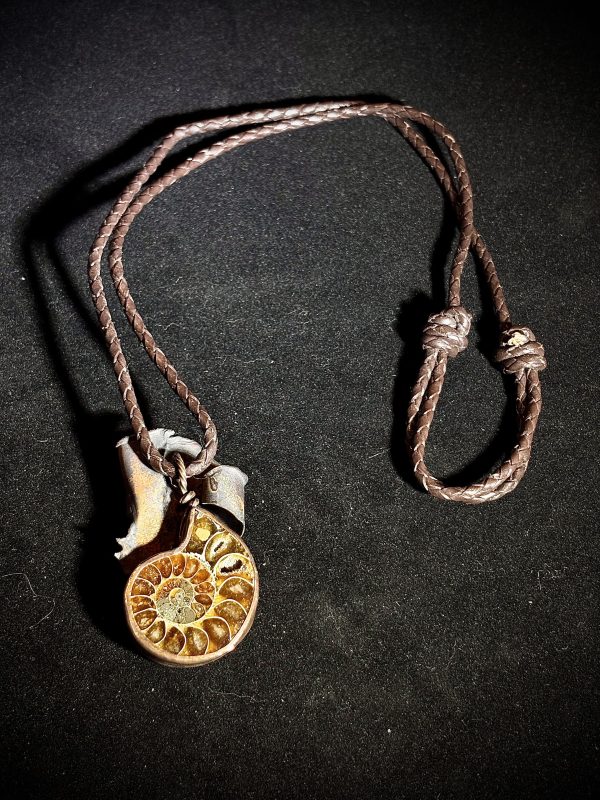 Ammonite Fossil set in Copper on Leather Necklace - Image 2